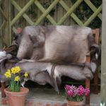 Scandinavian Reindeer rug 100% Natural very soft and fluffy Dark Colour / Variations of size