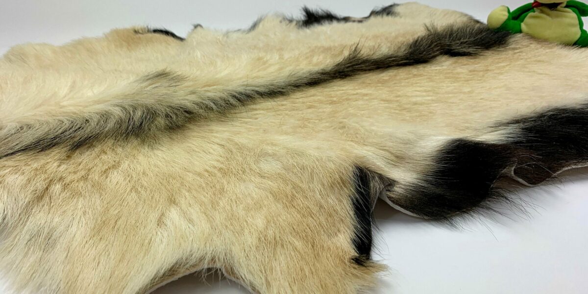 il_fullxfull.2074018999_di2m