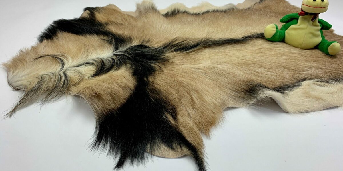 il_fullxfull.2030433824_otkf