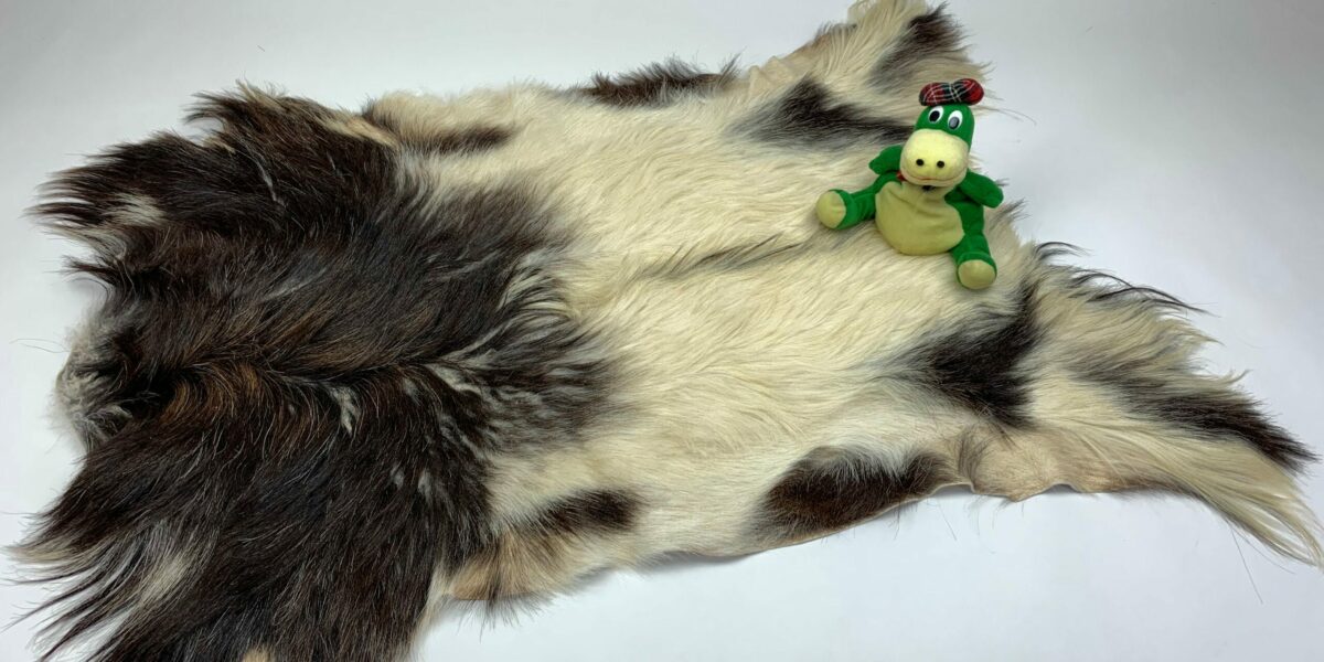 il_fullxfull.2077206363_55wu