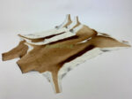 Springbok / Antelope rug leather 100% Natural Leather - Image 5