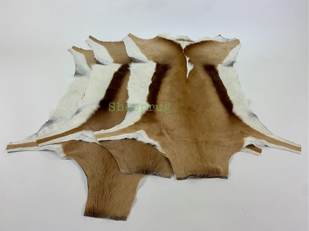 Springbok / Antelope rug leather 100 Natural Leather Sheeprug