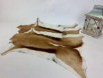 Springbok / Antelope rug leather 100% Natural Leather - Image 6