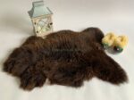 NATURAL Brown/Chocolate Sheepskin rug leather 100% Natural Wool very Soft and Furry Made of English Sheep