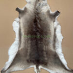 Scandinavian Reindeer rug leather 100% Real soft and fluffy R202005