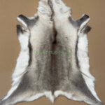 Scandinavian Reindeer rug leather 100% Real soft and fluffy R202003