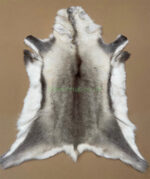 Scandinavian Reindeer rug leather 100% Real soft and fluffy R202003