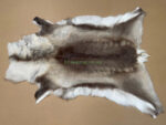 Scandinavian Reindeer rug leather 100% Real soft and fluffy R202002 - Image 3