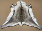 Scandinavian Reindeer rug leather 100% Real soft and fluffy R202003 - Image 5