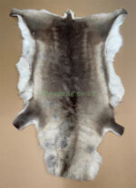 Scandinavian Reindeer rug leather 100% Real soft and fluffy R202005 - Image 3