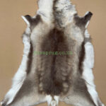 Scandinavian Reindeer rug leather 100% Real soft and fluffy R202002
