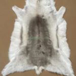 Scandinavian Reindeer rug leather 100% Real soft and fluffy R202008