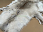Scandinavian Reindeer rug leather 100% Real soft and fluffy R202001 - Image 2
