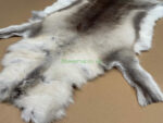 Scandinavian Reindeer rug leather 100% Real soft and fluffy R202010 - Image 2