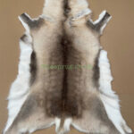 Scandinavian Reindeer rug leather 100% Real soft and fluffy R202007