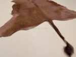 Brown & White Calf leather rug / Cowhide rug 100% Natural Leather C202016 - Image 2