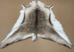 Scandinavian Reindeer rug leather 100% Real soft and fluffy R202004 - Image 5