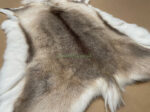 Scandinavian Reindeer rug leather 100% Real soft and fluffy R202004 - Image 4
