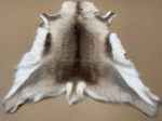 Scandinavian Reindeer rug leather 100% Real soft and fluffy R202007 - Image 5