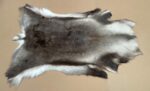 Scandinavian Reindeer rug leather 100% Real soft and fluffy R2021016 - Image 2