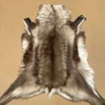 Scandinavian Reindeer rug leather 100% Real soft and fluffy R2021018