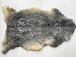 Gotland Sheepskin Rug 100% Natural with unique curly fur No 202102 - Image 8