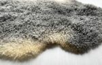 Gotland Sheepskin Rug 100% Natural with unique curly fur No 202102 - Image 7