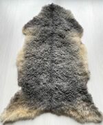 Gotland Sheepskin Rug 100% Natural with unique curly fur No 202102 - Image 6