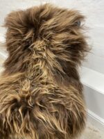 Natural Brown Icelandic Sheepskin rug fur 100% Natural, Long Fur, NATURAL BROWN COLOUR – NOT DYED - Image 2