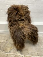 Natural Brown Icelandic Sheepskin rug fur 100% Natural, Long Fur, NATURAL BROWN COLOUR – NOT DYED - Image 3