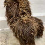 Natural Brown Icelandic Sheepskin rug fur 100% Natural, Long Fur, NATURAL BROWN COLOUR – NOT DYED