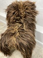 Natural Brown Icelandic Sheepskin rug fur 100% Natural, Long Fur, NATURAL BROWN COLOUR – NOT DYED - Image 4